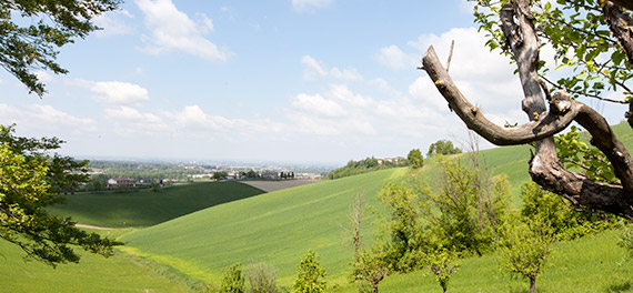 home-storia-2 Paesaggio zona Food Valley storia azienda Artigian Carni - Felino Parma