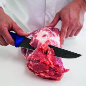 elezione e preparazione dei tagli di carne suina nazionale: controllo della materia prima per la produzione dei salumi – Felino Parma